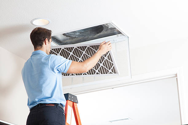 Best HVAC air duct cleaning  in The Homesteads, TX
